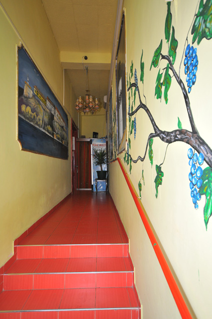 Plants: image 2 0f 12 thumb